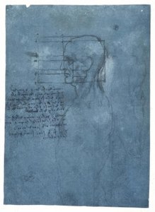 Étude de proportions d