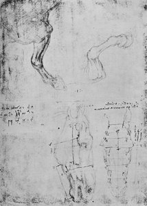 Études des avant-bras des chevaux et dessins mesurés des têtes de chevaux, vers 1480, 1945