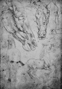 Études de chevaux et de têtes de chevaux, vers 1480, 1945