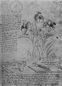 Études de violes et de méthodes de soudure des toits en plomb, vers 1480 1945