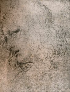 Étude pour la tête de Saint Philippe dans `La Cène`, vers 1494-1499 1883