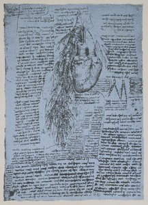 Le cœur et les artères bronchiques, fac-similé du livre de Windsor - Leonardo da Vinci