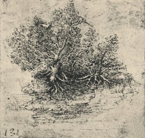 Deux arbres sur la rive d