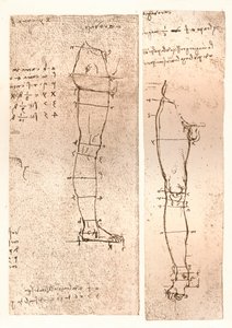 Deux dessins illustrant la théorie des proportions de la figure humaine, vers 1472-1519, 1883
