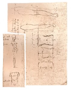 Deux dessins illustrant la théorie des proportions de la figure humaine, c1472-c1519 1883