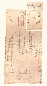 Deux dessins illustrant la théorie des proportions de la figure humaine, c1472-c1519 1883 - Leonardo da Vinci