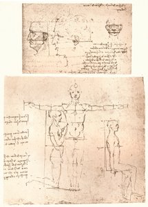 Deux dessins illustrant la théorie des proportions de la figure humaine, vers 1472-1519, 1883