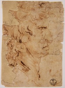 Image inconnue - Leonardo da Vinci