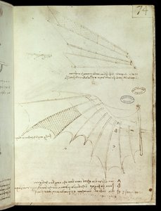 Aile - Leonardo da Vinci