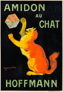 Amidon au Chat