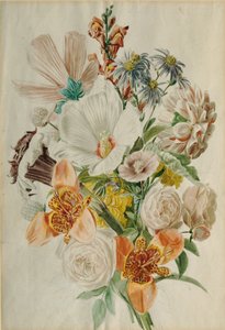 Bouquet de fleurs avec hibiscus et lys