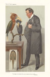 Professeur Ray Lankester - portrait debout regardant des oiseaux