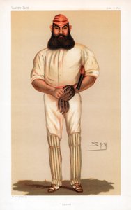 Cricket, 1877