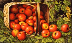 Panier de Pommes