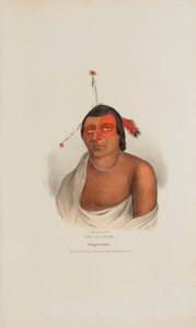 PE-A-JICK ; un chef chippewa, tiré du Portfolio autochtone - Lewis, James Otto