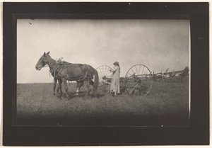 [Scène de ferme, Massachusetts] - Lewis W. Hine