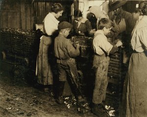 Jimmie, 10 ans, qui épluche depuis 3 ans (6 pots par jour) avec un garçon de 11 ans qui épluche 7 pots à Varn und Platt Canning Co., Bluffton, Caroline du Sud, 1913