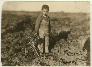 Jo, 6 ans, arrachant des betteraves sucrières dans une ferme près de Sterling, Colorado, 1915 - Lewis Wickes Hine