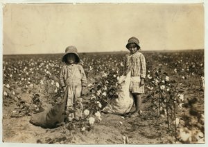 Jewel et Harold Walker, 6 et 5 ans, ramassent 20 à 25 livres de coton par jour à Geronimo, Comté de Comanche, Oklahoma, 1916 - Lewis Wickes Hine