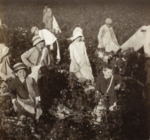  - Lewis Wickes Hine