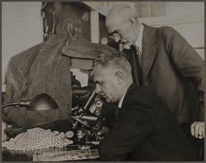  - Lewis Wickes Hine