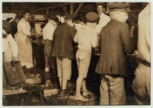 Cueilleurs de crevettes, y compris Max, 8 ans, à Dunbar, Lopez, Dukate Co, Biloxi, Mississippi, 1911