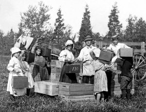 Image inconnue - Lewis Wickes Hine