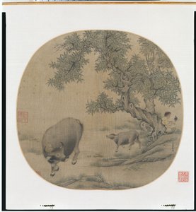 Homme, buffle et veau