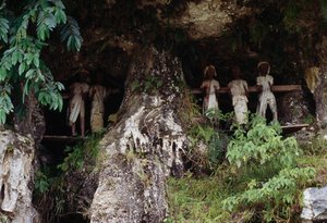 Nichoirs funéraires avec figures mortuaires Tau Tau, village de Marrante, île de Sulawesi, Indonésie