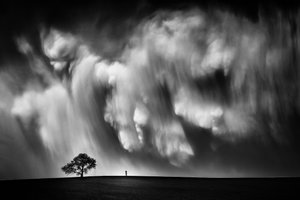 Un arbre solitaire sous un ciel spectaculaire