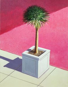 Petite palme, 1995