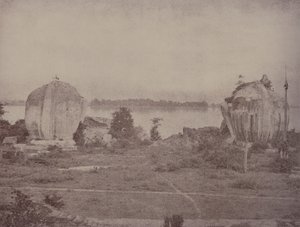 Mengoon : Griffons en ruine - Linnaeus Tripe