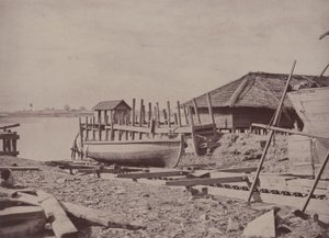 Rangoon : Slip breveté - Linnaeus Tripe
