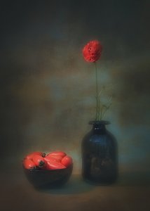  - Liu Xing