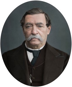 Lord Napier de Magdala, 1878