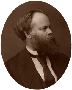 Samuel Plimsoll, Esq, MP, homme politique libéral britannique et réformateur social, 1876