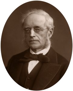 Sir Henry Cotton, Lord Justice of Appeal, 1881