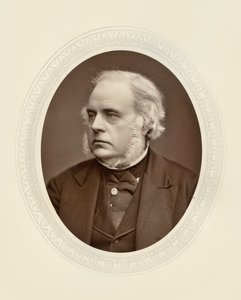 Le Très Honorable John Bright