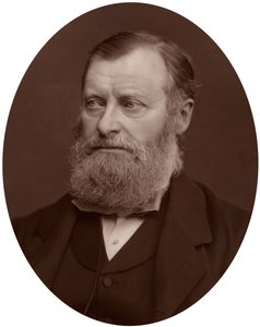 William Edward Forster MP, 1878