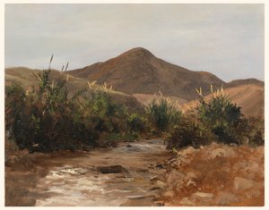 Dessin, près de Jéricho, Wady Kilt, 20 mars 1876