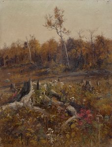 Paysage