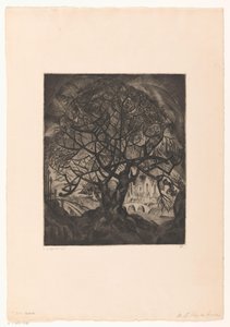 Arbre aux branches nues
