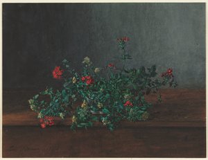 Nature morte avec des fleurs sauvages - Léon Bonvin