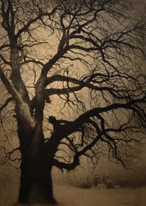 Léon Spilliaert (1881-1946) Arbre en hiver Brafa 2019 31-01-2019 - Leon Spilliaert
