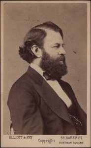 Portrait du violoniste et compositeur Joseph Joachim 1831-1907, vers 1875
