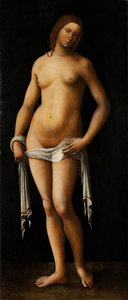 Vénus