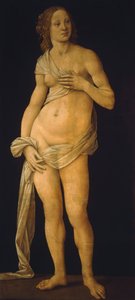 Vénus - Lorenzo di Credi