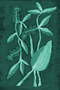 Deep Green Botanicals