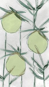 Produits botaniques verts frais - Lori Ann Folz