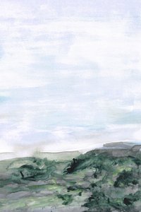 Collines verdoyantes brumeuses